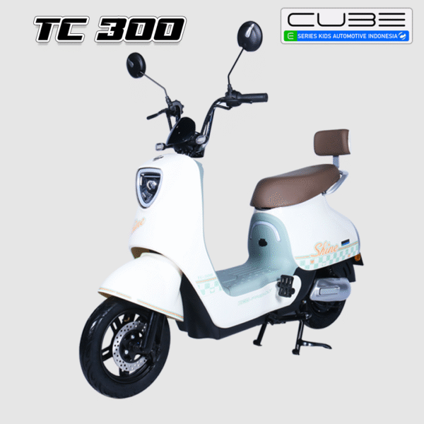 Tc 300 - Gambar 4