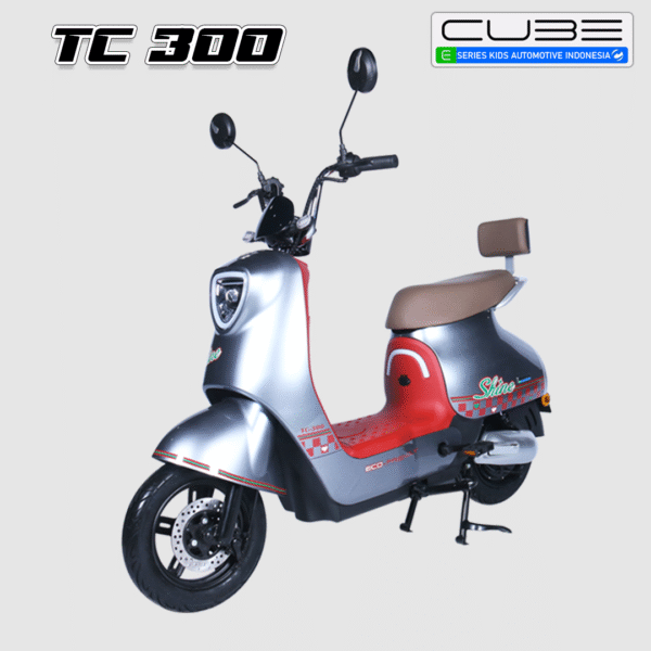Tc 300 - Gambar 2